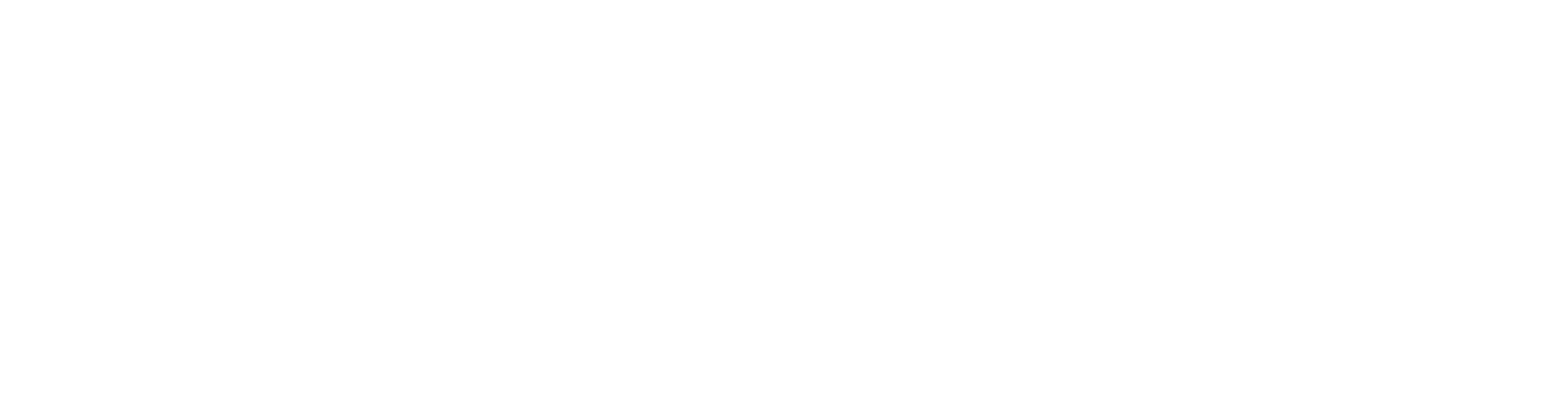 Skona Logo White